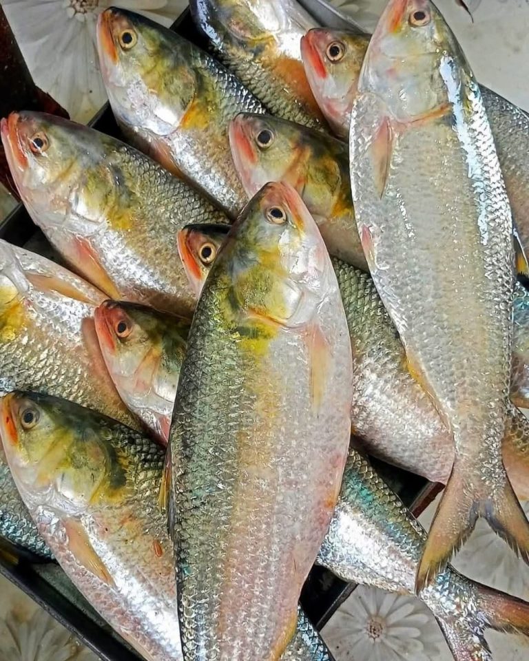 WhatsApp Image 2025-10-11 at 21.06.09_f0df00a3