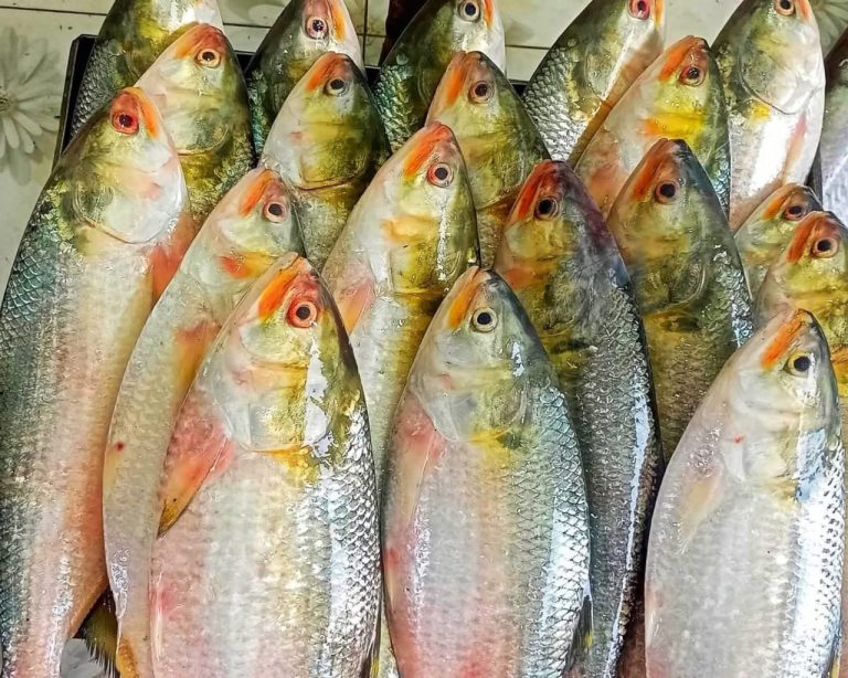 WhatsApp Image 2025-10-11 at 21.07.06_62ba428c