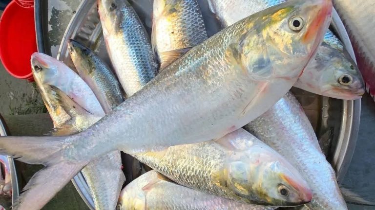 WhatsApp Image 2025-10-11 at 21.08.48_ef660896