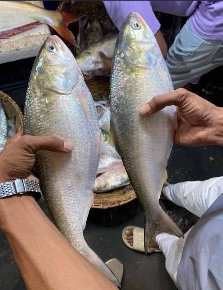 WhatsApp Image 2025-10-11 at 21.09.25_04c85b3c