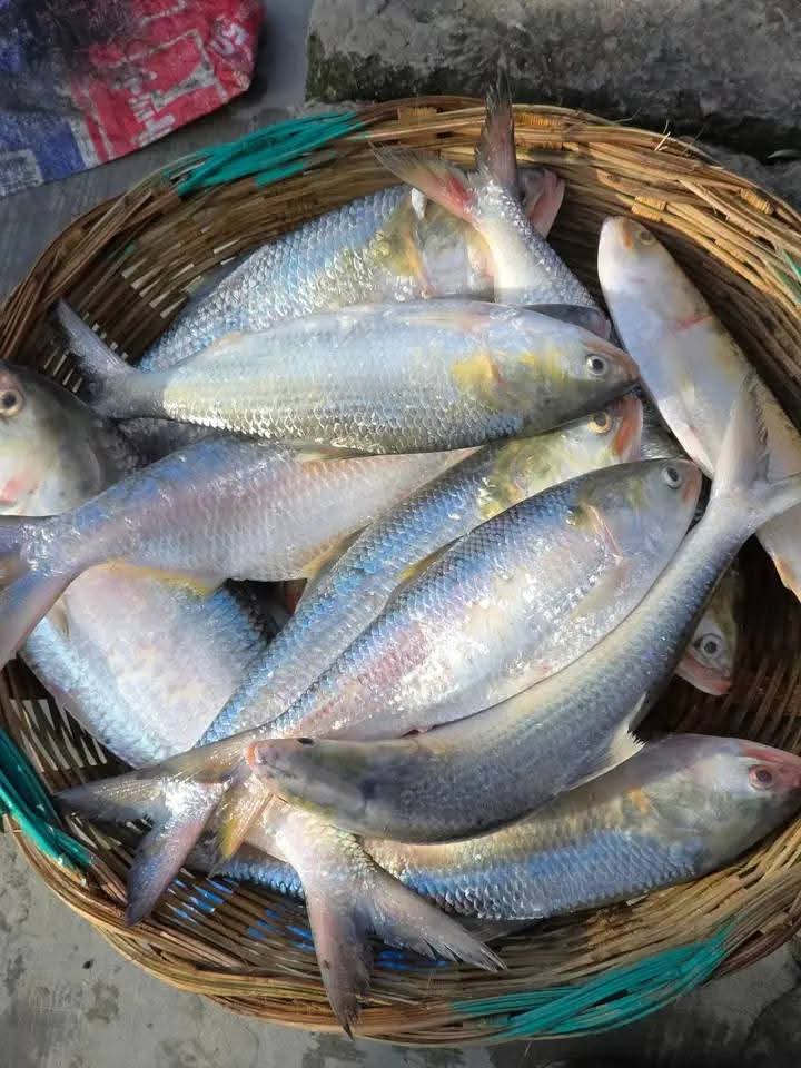 WhatsApp Image 2025-10-11 at 21.09.25_f8eedeca